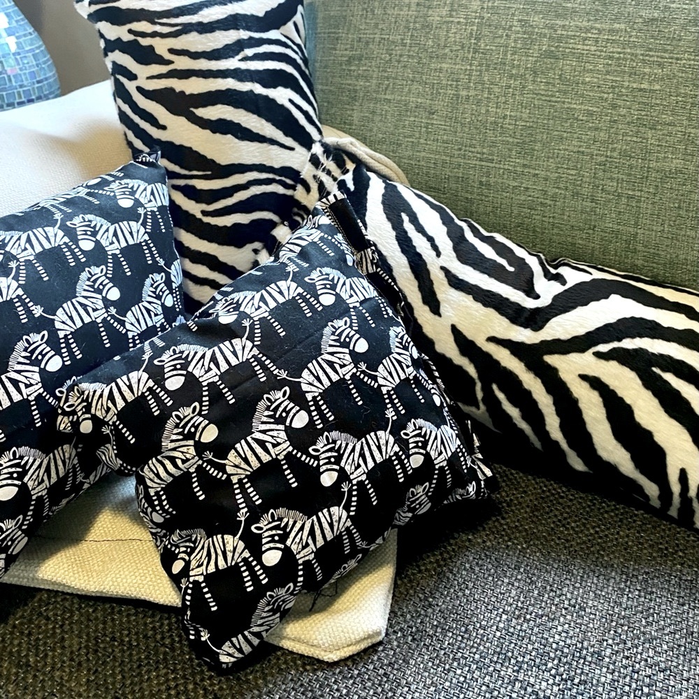 Super cute small zebra pillow set